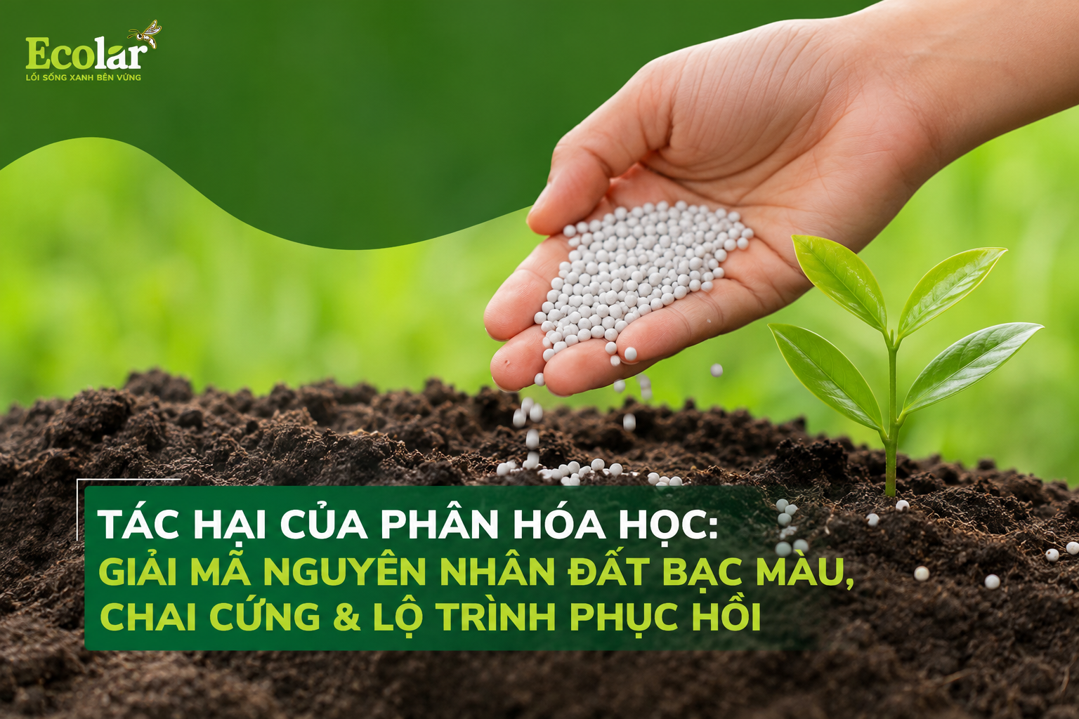 Tác Hại Của Phân Hóa Học: Giải Mã Nguyên Nhân Đất Bạc Màu, Chai Cứng & Lộ Trình Phục Hồi