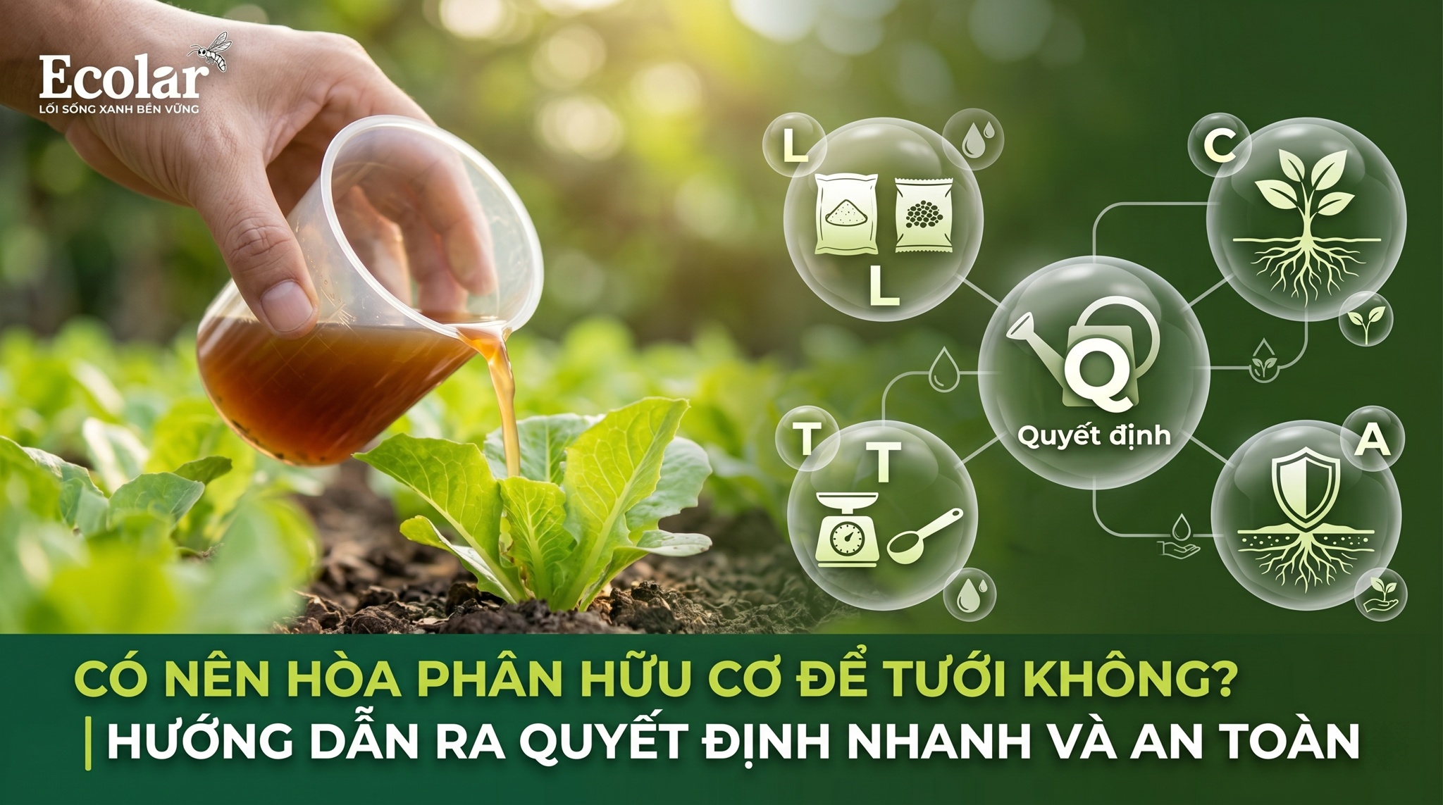 Có nên hòa phân hữu cơ để tưới không — Hướng dẫn ra quyết định nhanh và an toàn