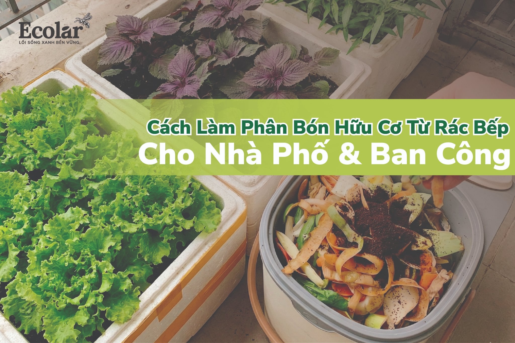 Cách làm phân bón hữu cơ từ rác thải nhà bếp cho nhà phố: Hướng dẫn thực tế cho ban công và gia đình