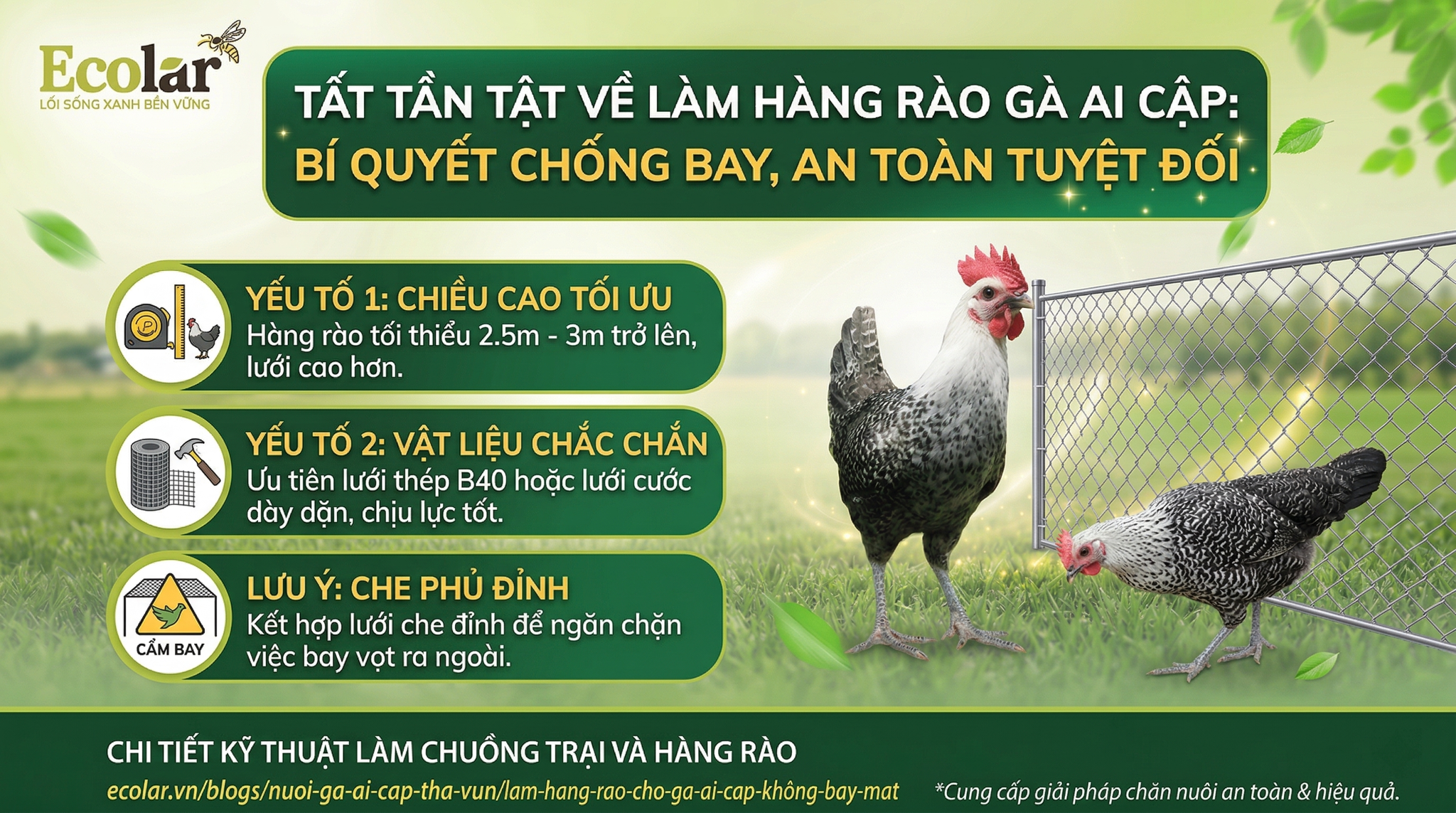 huong-dan-lam-hang-rao-cho-ga-ai-cap-chong-bay-tuyet-doi_3dbe84c2167d48dda48a620454dbb5b2.png
