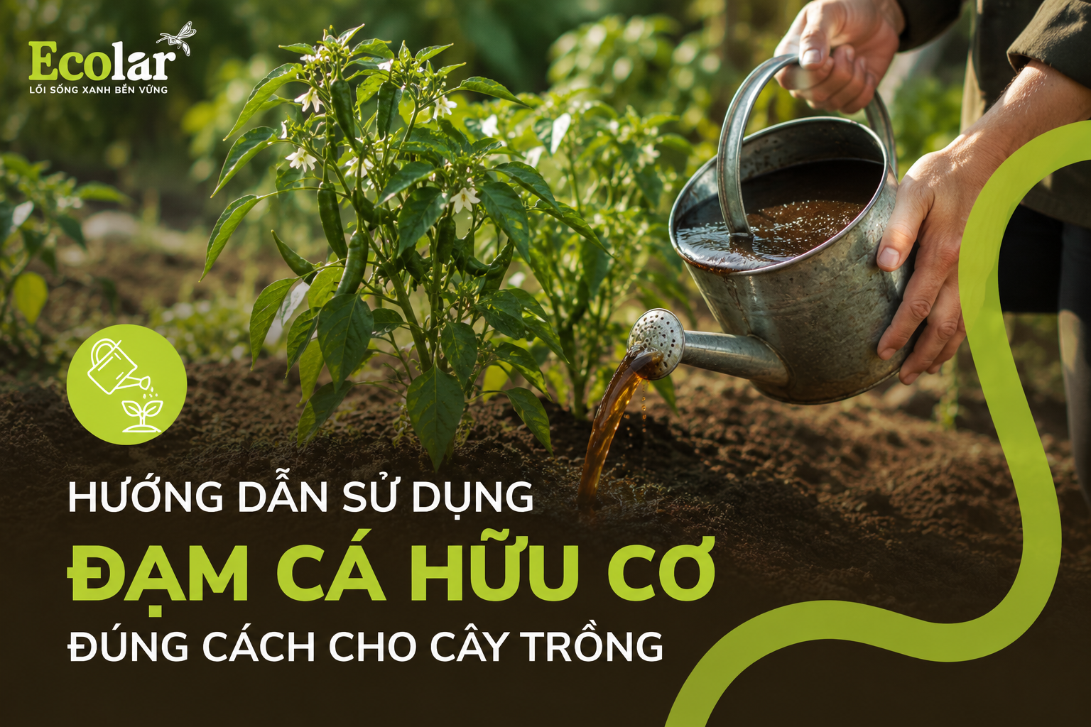 Hướng Dẫn Sử Dụng Đạm Cá Hữu Cơ Đúng Cách Cho Cây Trồng