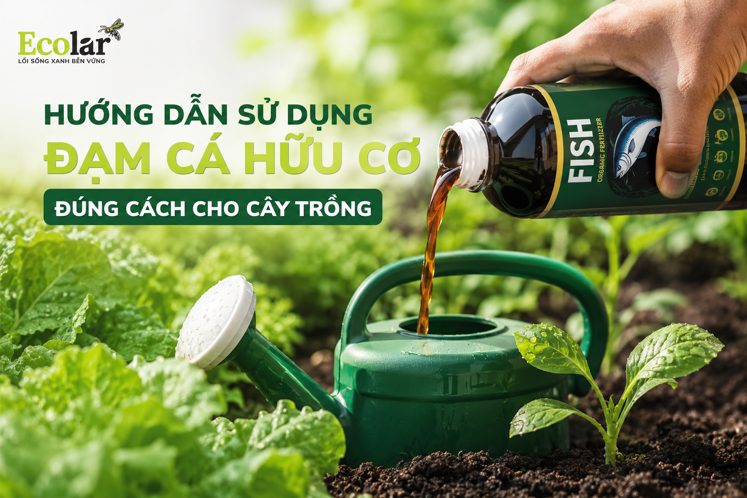 Hướng Dẫn Sử Dụng Đạm Cá Hữu Cơ Đúng Cách Cho Cây Trồng