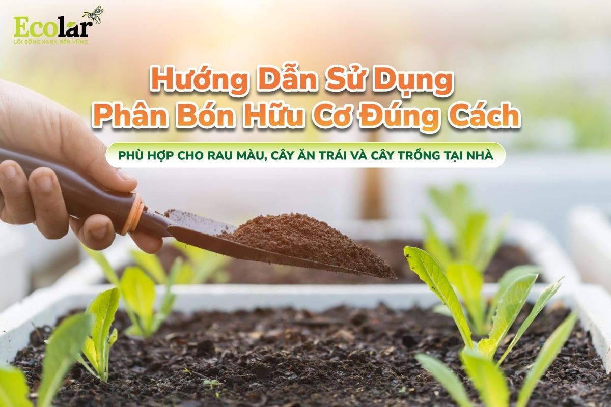 Hướng Dẫn Sử Dụng Phân Bón Hữu Cơ Đúng Cách, Phù Hợp Cho Từng Loại Cây
