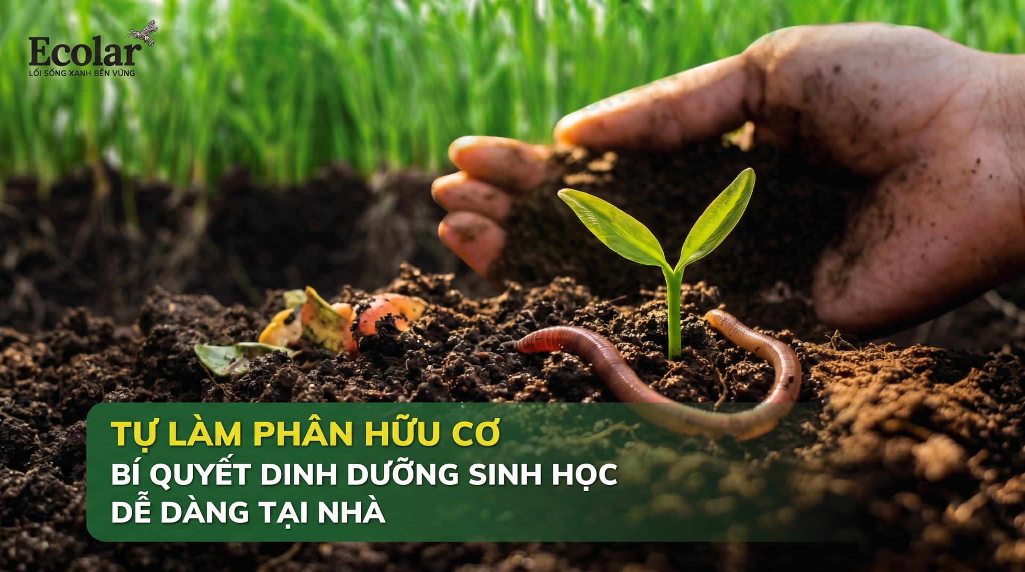 Tự làm phân bón hữu cơ và phân hữu cơ sinh học: Khác nhau thế nào? — Hướng dẫn so sánh để lựa chọn hợp lý