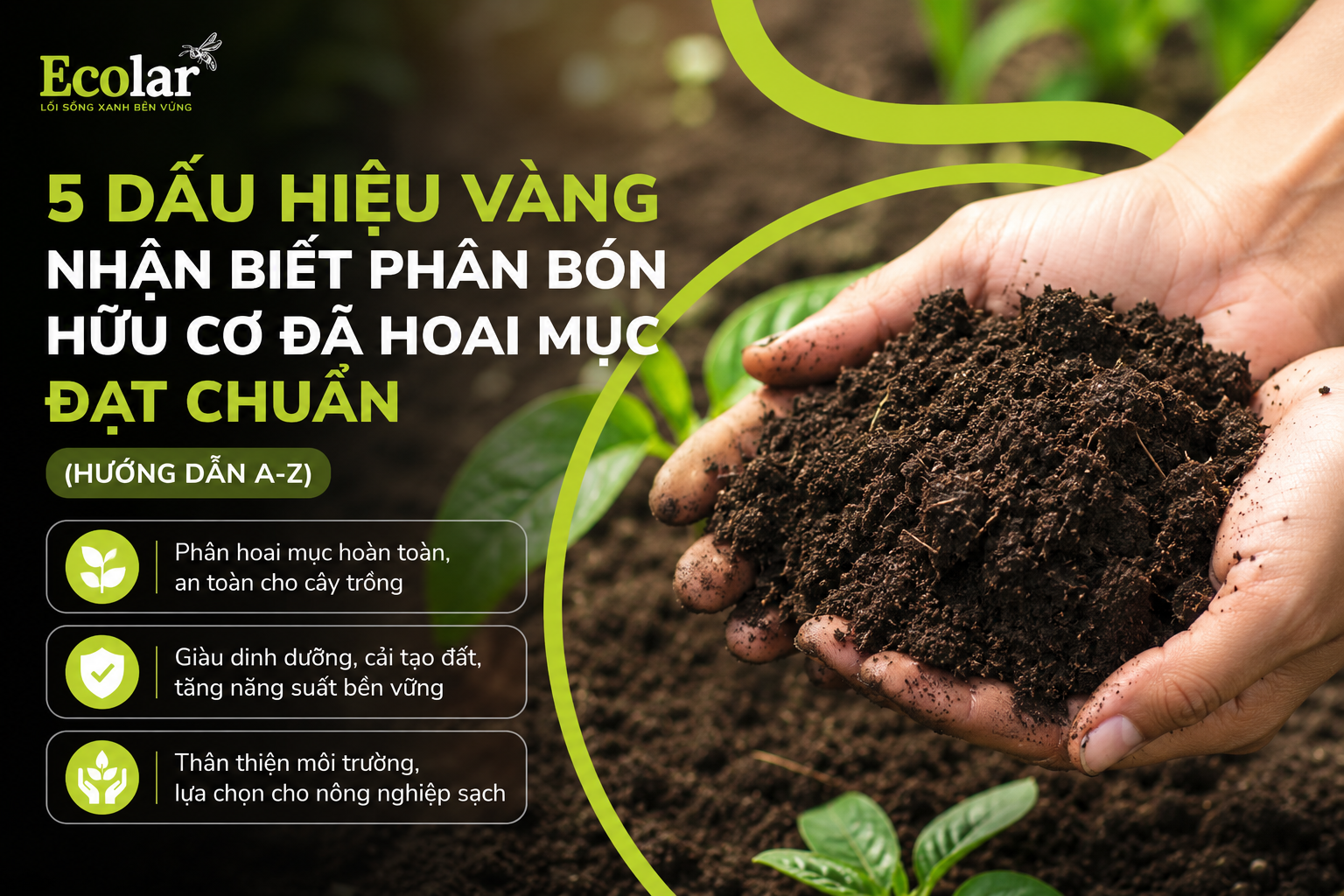 5 Dấu Hiệu Vàng Nhận Biết Phân Bón Hữu Cơ Đã Hoai Mục Đạt Chuẩn (Hướng Dẫn A-Z)