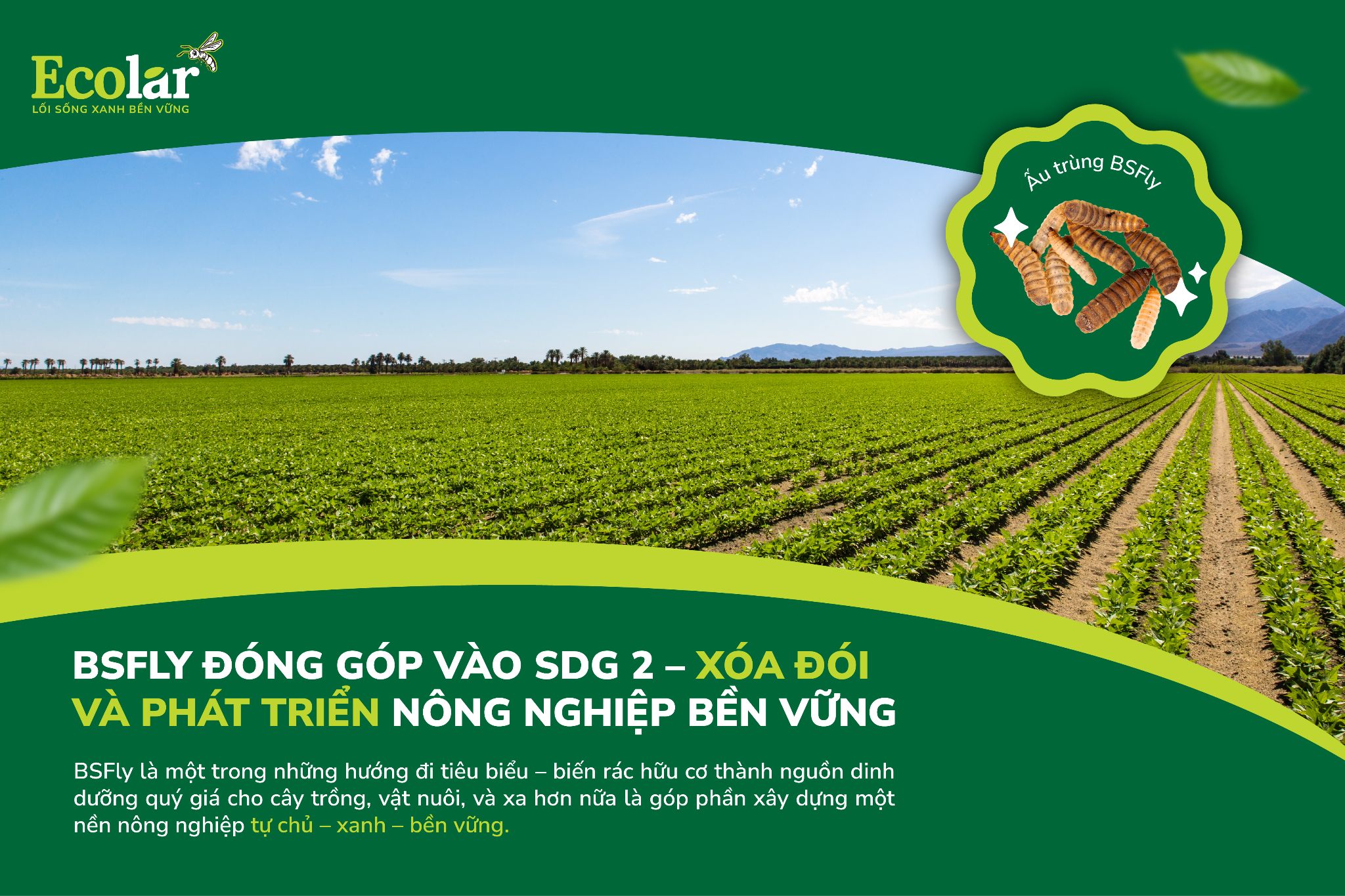 BSFly Đóng Góp Vào SDG 2 – Xóa Đói Và Phát Triển Nông Nghiệp Bền Vững