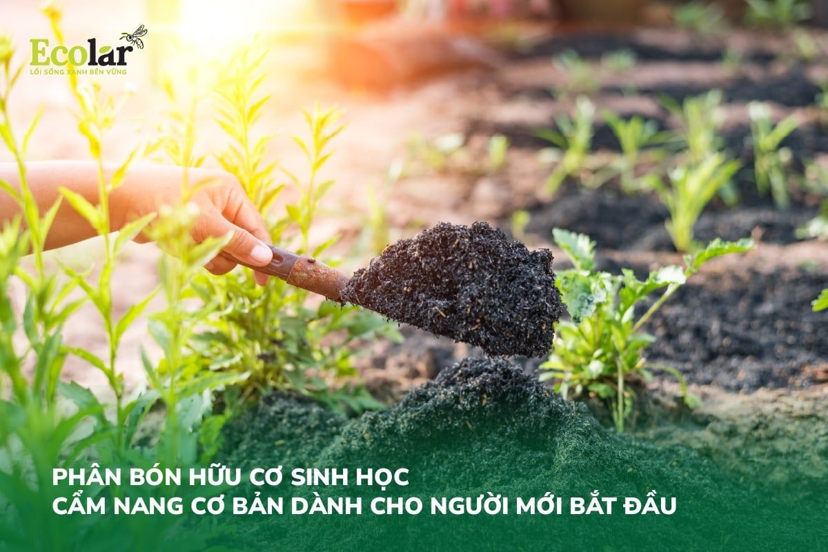 Phân Bón Hữu Cơ Sinh Học: Cẩm Nang Cơ Bản Dành Cho Người Mới Bắt Đầu