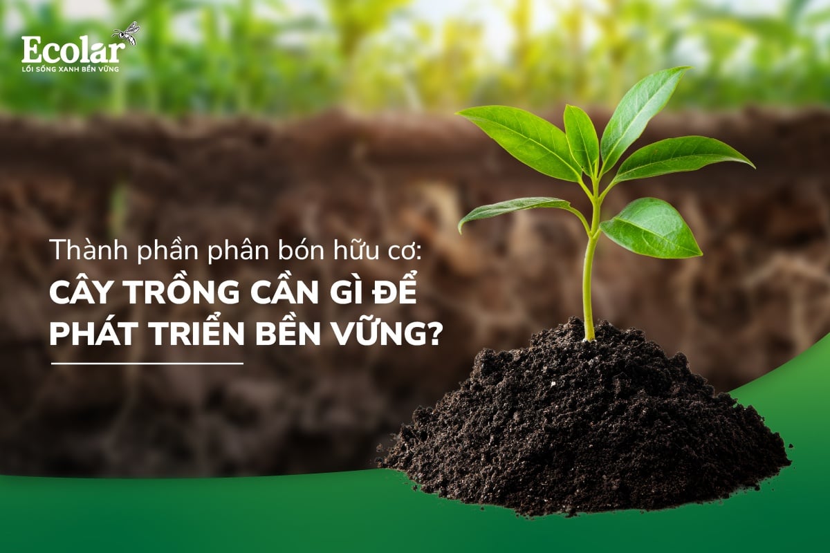 il-thanh-phan-phan-bon-huu-co-cay-trong-can-gi-de-phat-trien-ben-vung-_700d17bec6a84a54aad94eb513d9297f.jpg