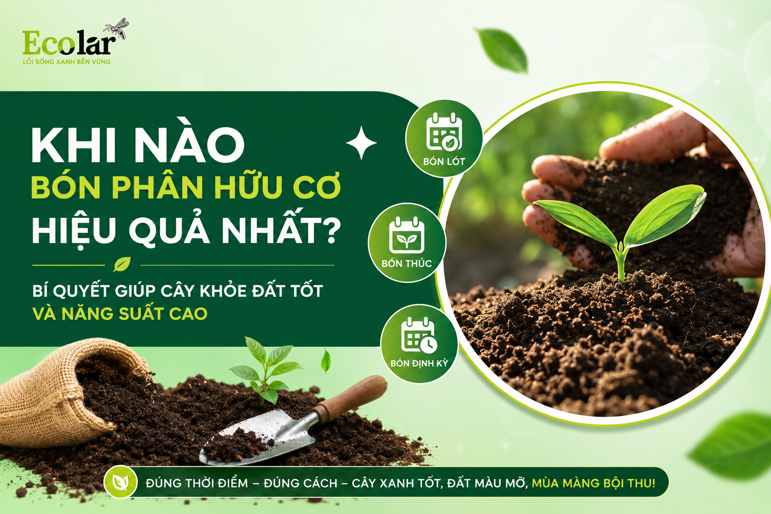 Khi Nào Bón Phân Hữu Cơ Hiệu Quả Nhất?