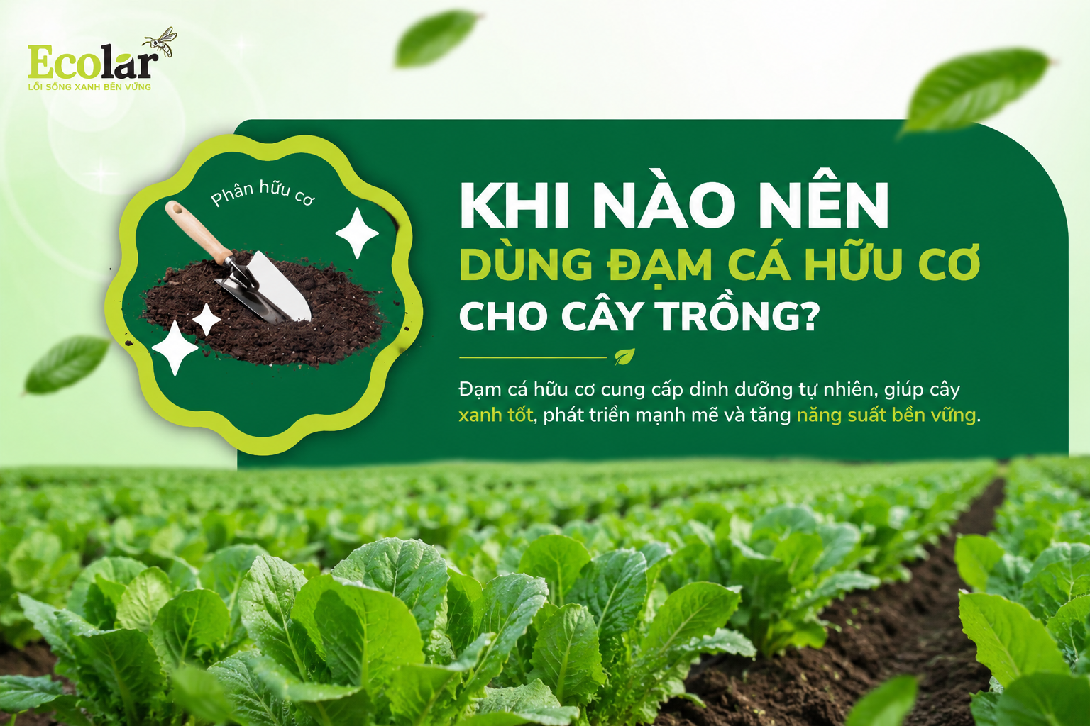 Khi Nào Nên Dùng Đạm Cá Hữu Cơ Cho Cây Trồng?
