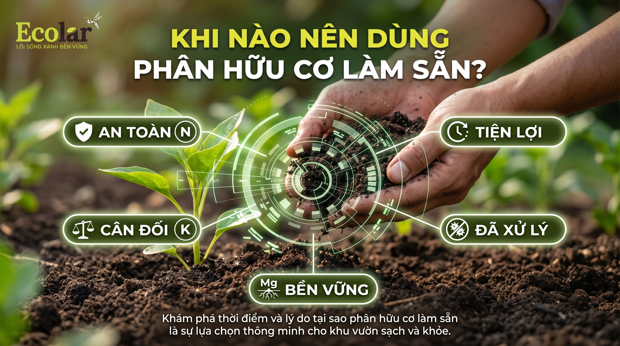 Khi nào nên dùng phân hữu cơ làm sẵn? Hướng dẫn ra quyết định nhanh