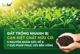 Đất Trồng Nhanh Bị Cạn Kiệt Chất Hữu Cơ: 5 Nguyên Nhân Gốc Rễ & 7 Giải Pháp Phục Hồi Bền Vững