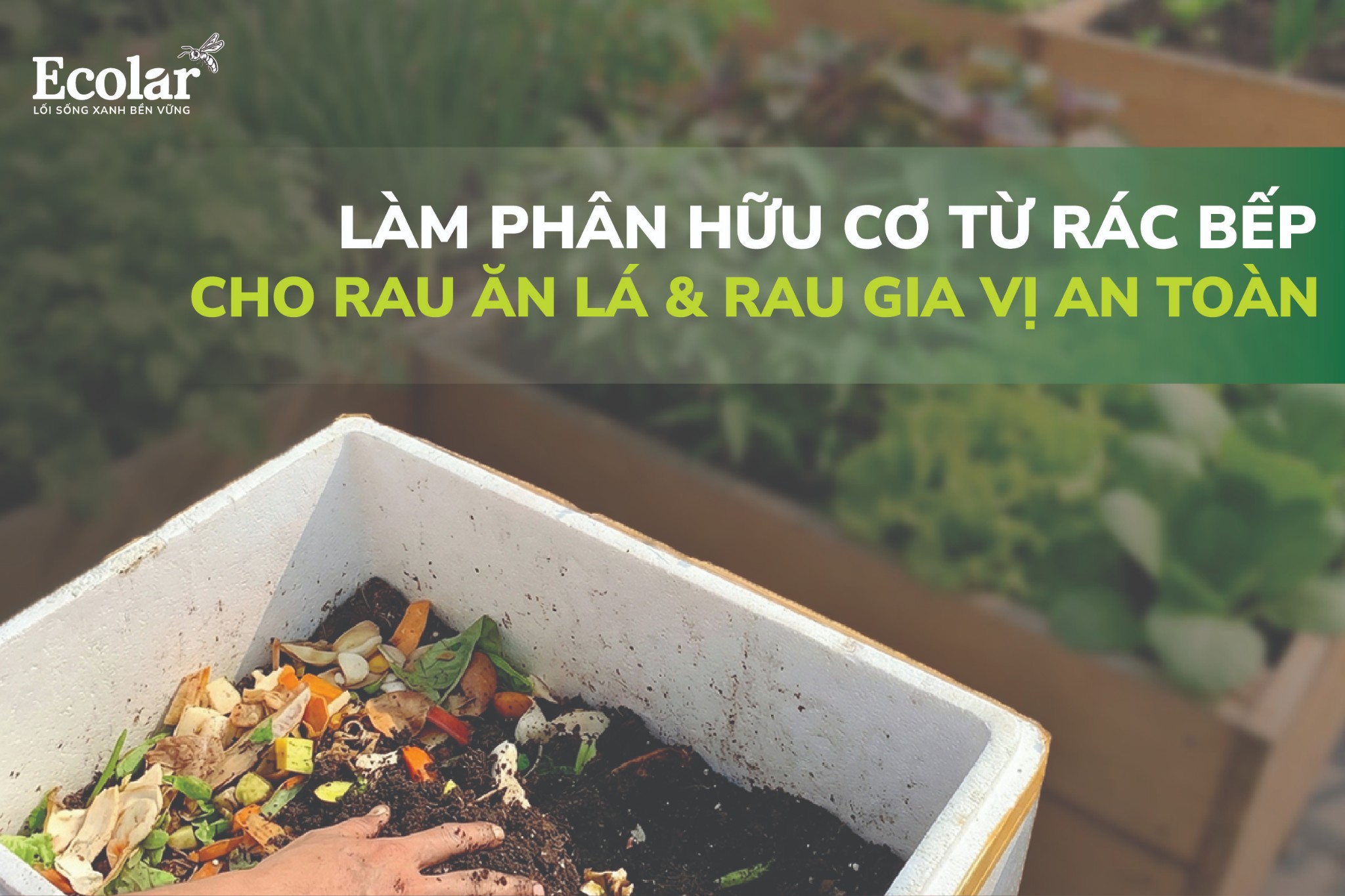 Cách làm phân hữu cơ từ rác thải nhà bếp cho rau ăn lá & rau gia vị (tập trung an toàn thực phẩm)