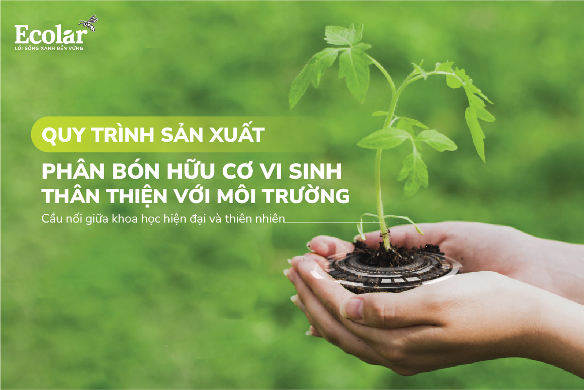 Quy Trình Sản Xuất Phân Bón Hữu Cơ Vi Sinh Thân Thiện Với Môi Trường