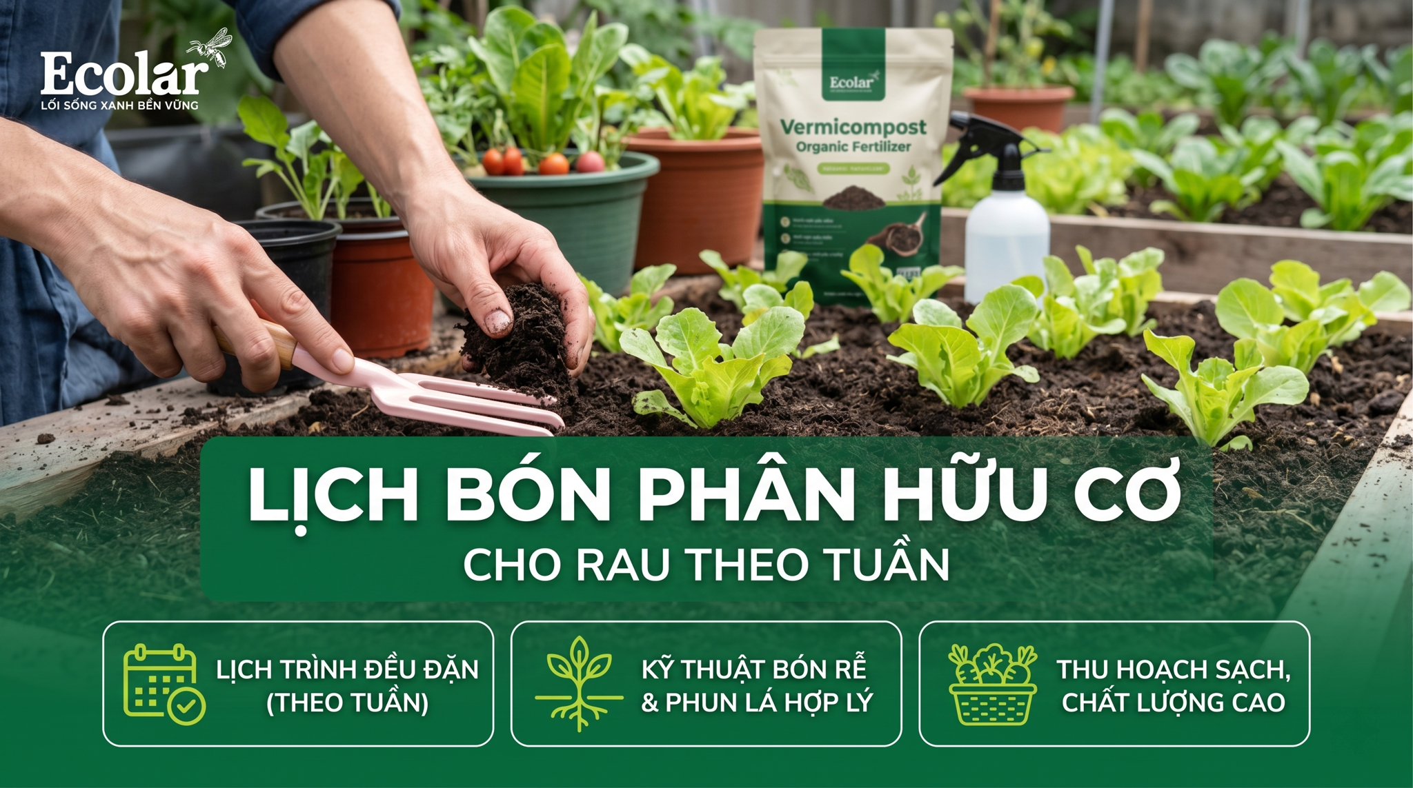 Lịch Bón Phân Hữu Cơ Cho Rau Theo Tuần (Dễ Áp Dụng Tại Nhà)