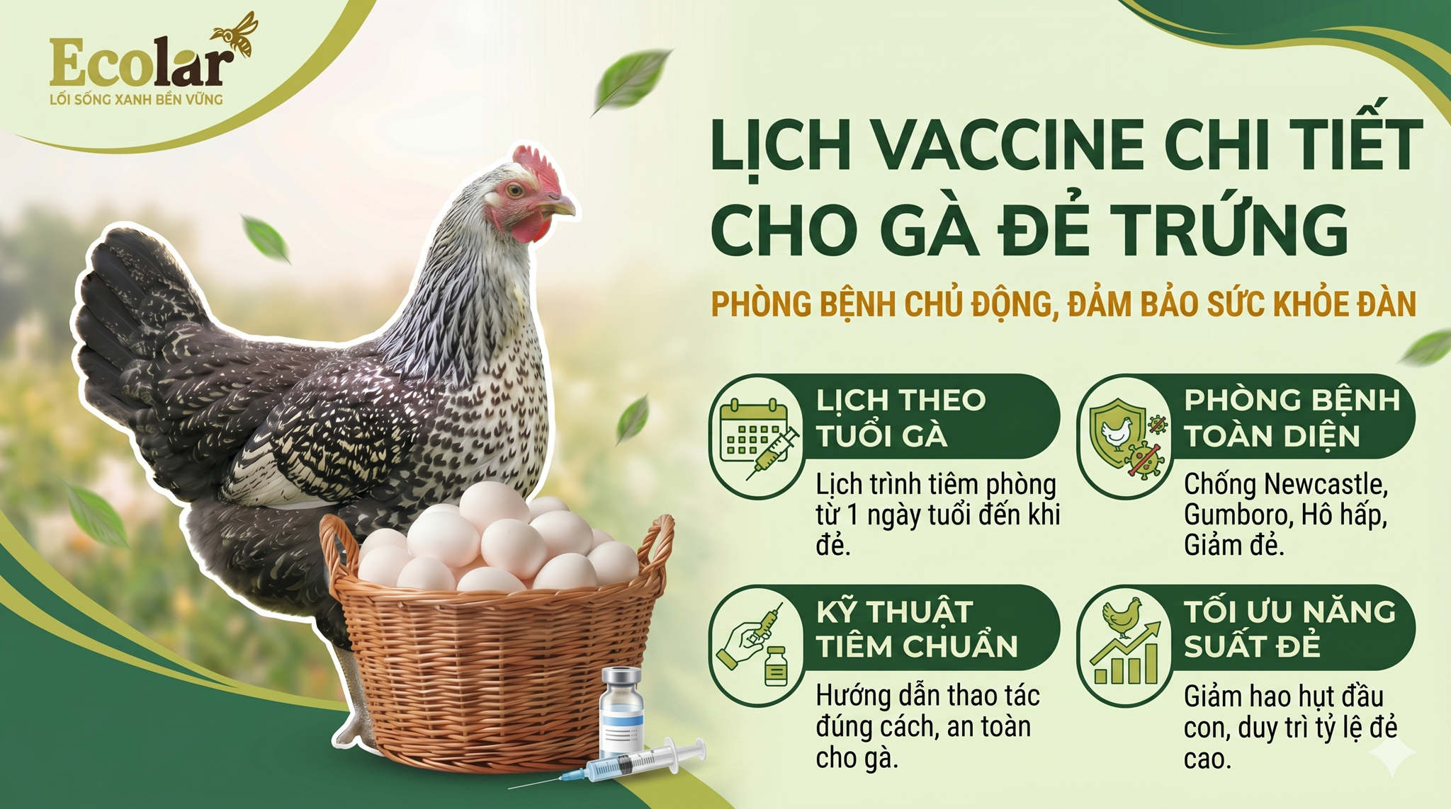 Lịch Vaccine Cho Gà Đẻ Trứng Theo Từng Giai Đoạn Chuẩn Kỹ Thuật