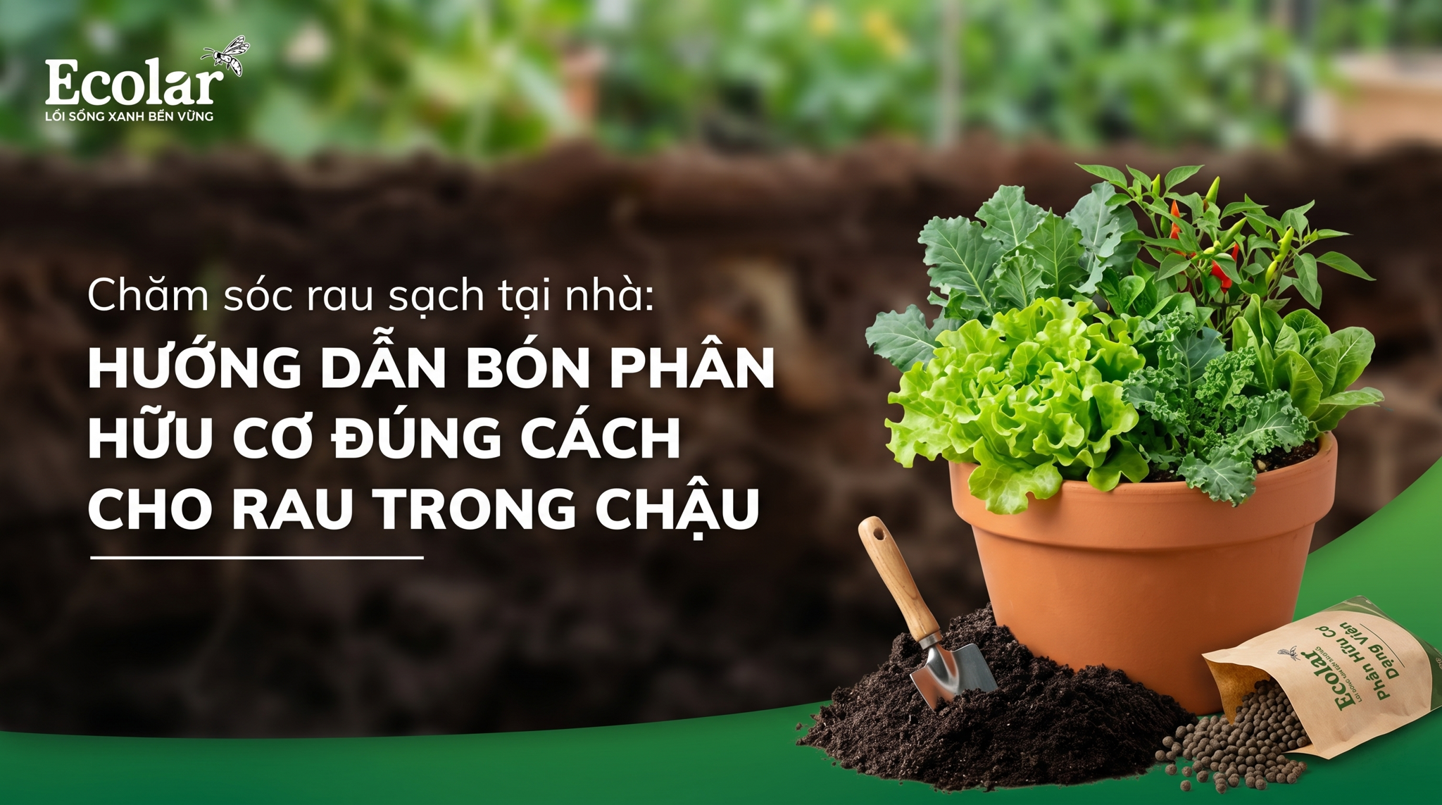 Liều Lượng Bón Phân Hữu Cơ Cho Rau Trồng Chậu Dễ Áp Dụng Tại Nhà