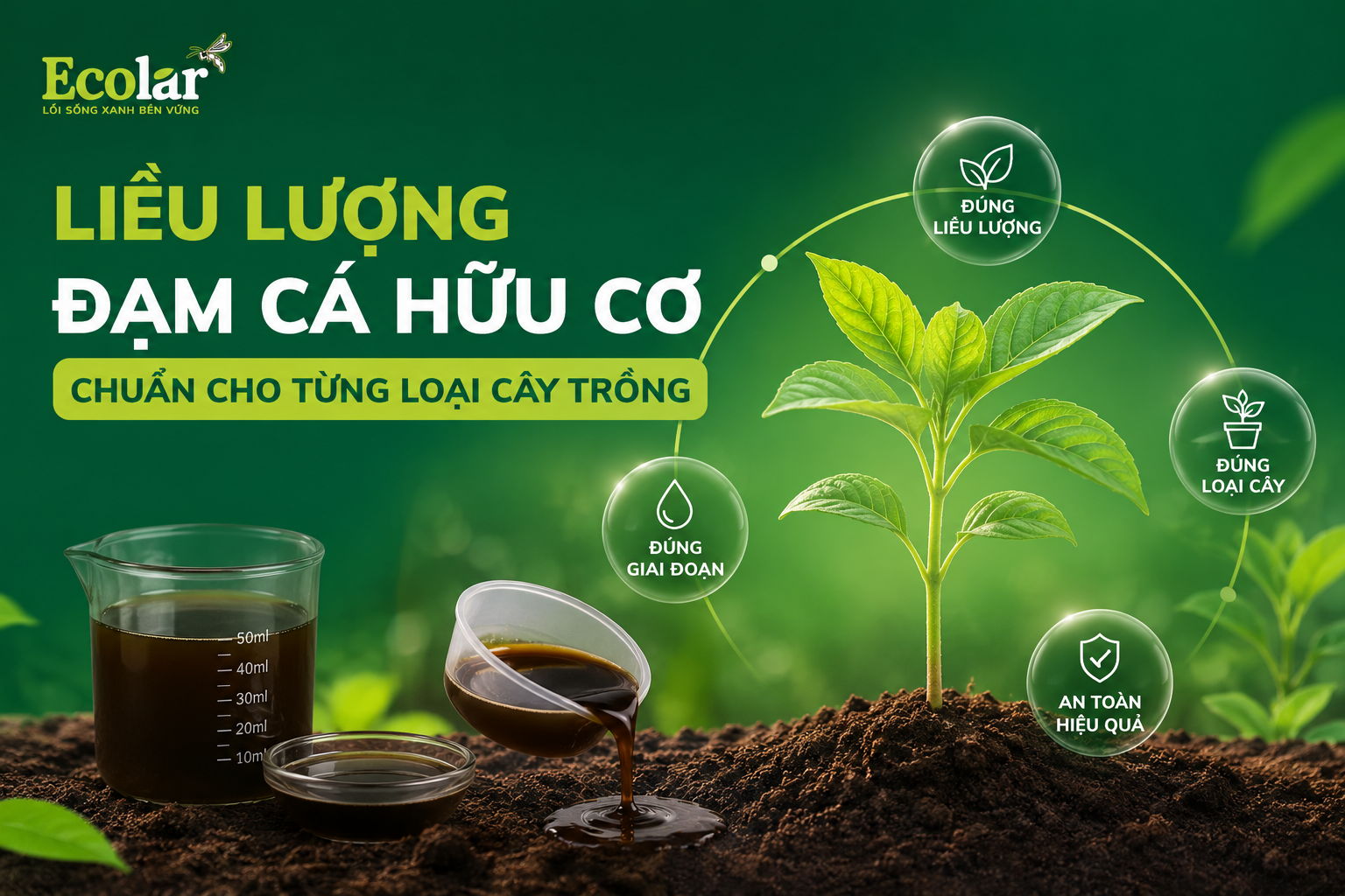 Liều Lượng Đạm Cá Hữu Cơ Chuẩn Cho Từng Loại Cây Trồng