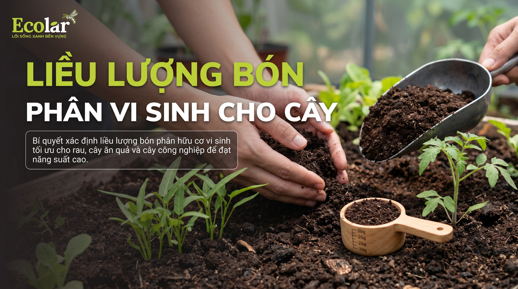 Liều Lượng Phân Hữu Cơ Vi Sinh Theo Từng Loại Cây