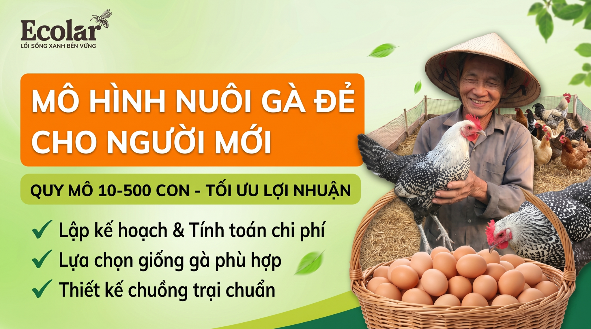 Mô Hình Nuôi Gà Đẻ Trứng Quy Mô 10–500 Con Cho Người Mới