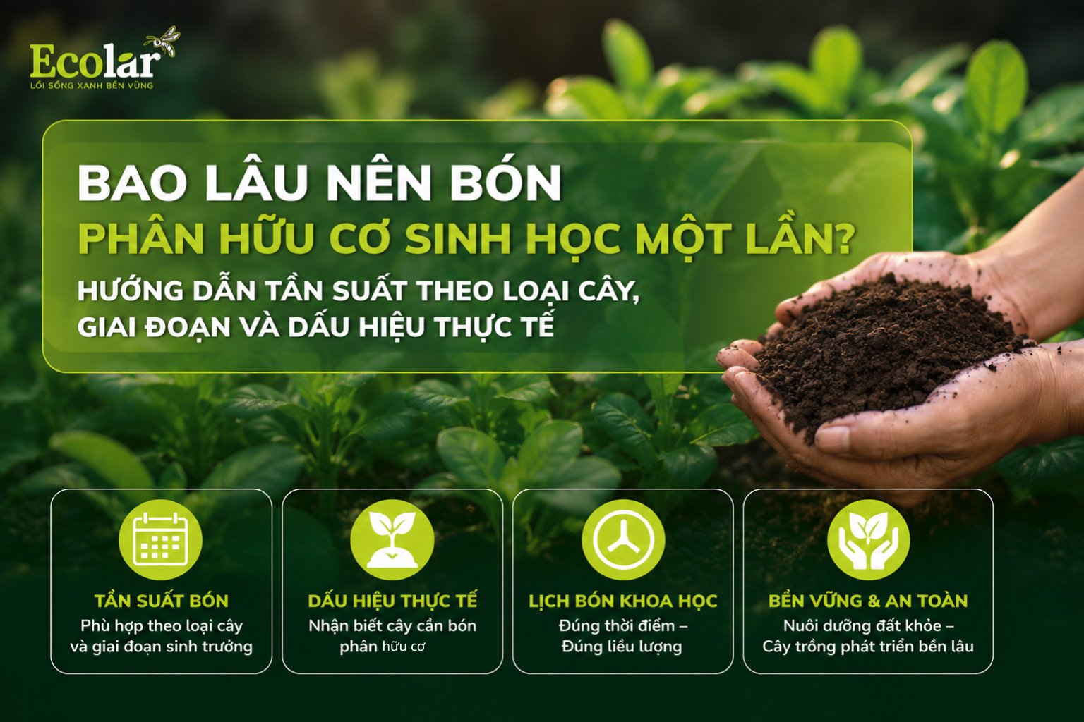 Bao lâu nên bón phân hữu cơ sinh học một lần? Hướng dẫn tần suất theo loại cây, giai đoạn và dấu hiệu thực tế