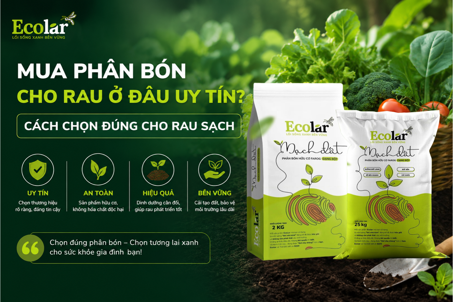 Mua Phân Bón Cho Rau Ở Đâu Uy Tín? Cách Chọn Đúng Cho Rau Sạch