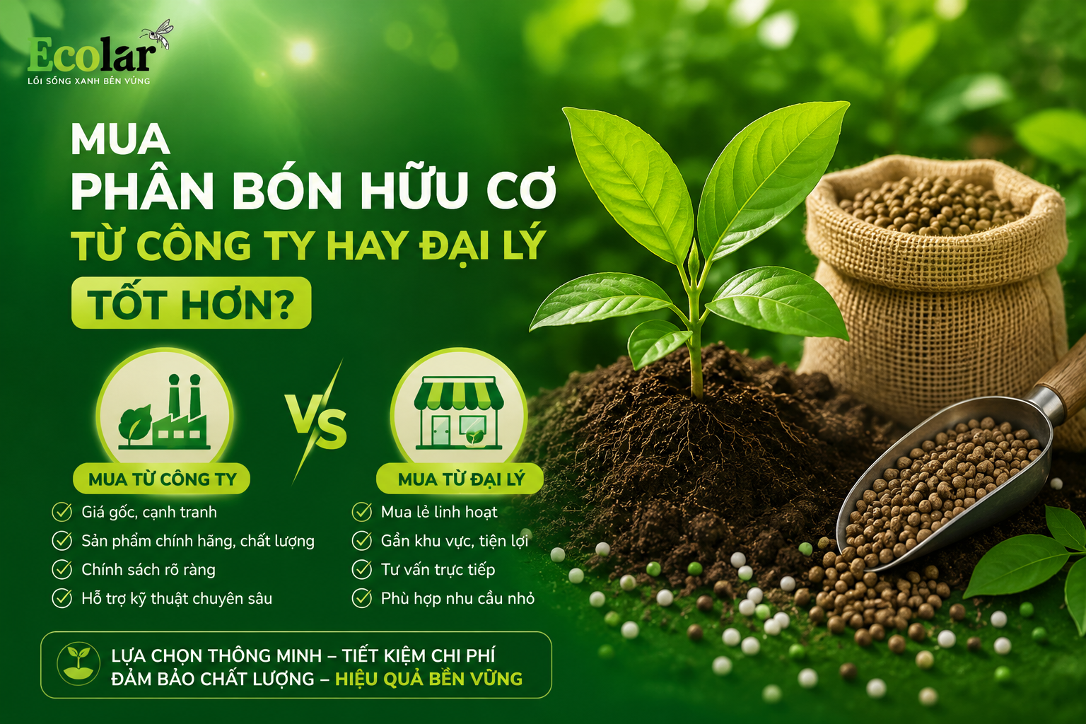 Mua Phân Bón Hữu Cơ Từ Công Ty Hay Đại Lý Tốt Hơn?