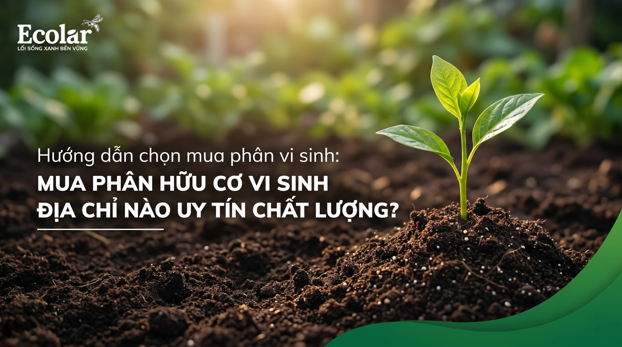 Mua Phân Hữu Cơ Vi Sinh Ở Đâu Uy Tín? Cách Chọn Nơi Bán Chuẩn