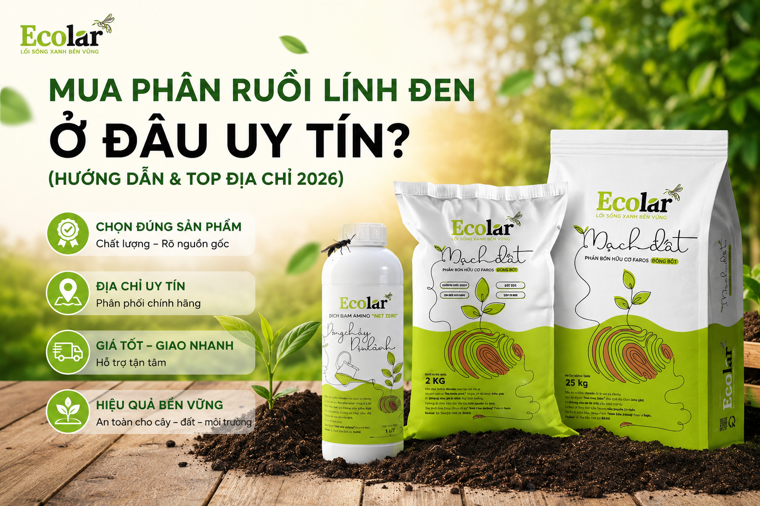 Mua Phân Ruồi Lính Đen Ở Đâu Uy Tín? (Hướng Dẫn & Top Địa Chỉ 2026)