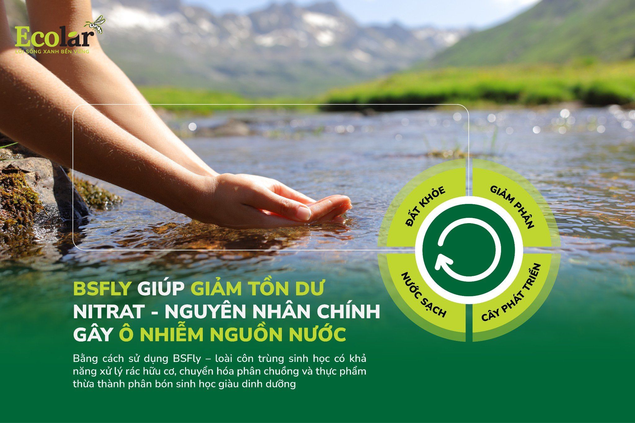 BSFly Giúp Giảm Tồn Dư Nitrat – Nguyên Nhân Chính Gây Ô Nhiễm Nguồn Nước