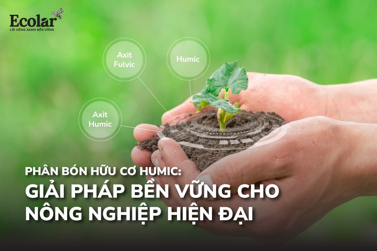 Phân Bón Hữu Cơ Humic: Giải Pháp Bền Vững Cho Nông Nghiệp Hiện Đại