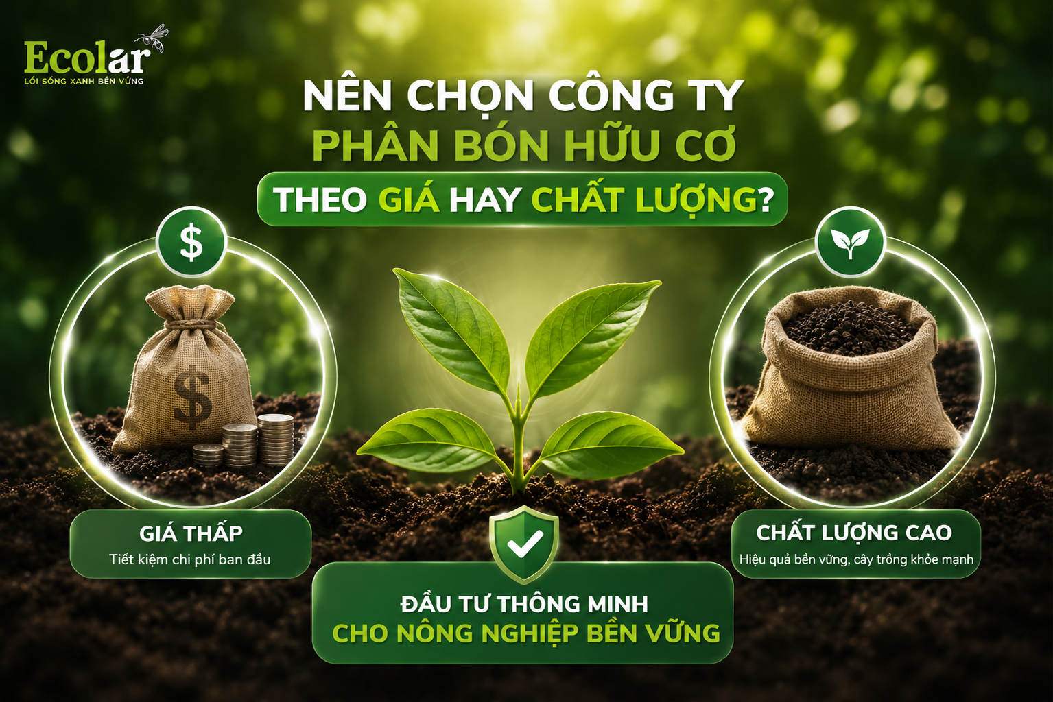 Nên Chọn Công Ty Phân Bón Hữu Cơ Theo Giá Hay Chất Lượng?