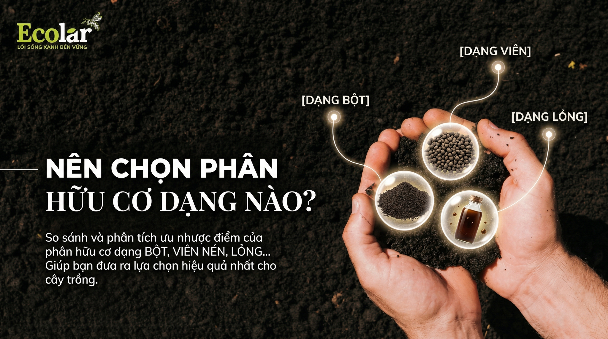 Nên Chọn Phân Hữu Cơ Dạng Nào? So Sánh Lỏng, Rắn Và Viên Nén
