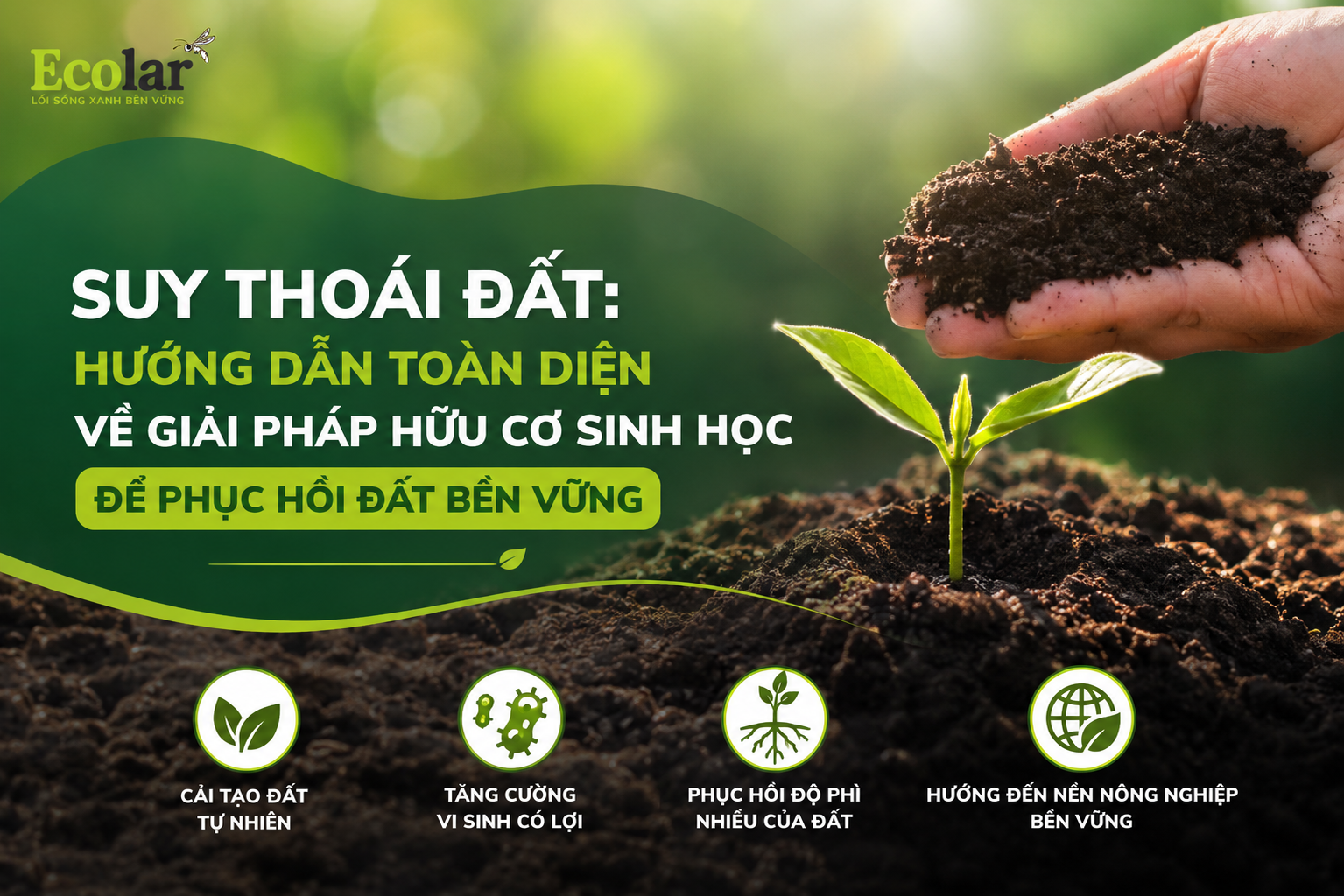 Suy Thoái Đất: Hướng Dẫn Toàn Diện Về Giải Pháp Hữu Cơ Sinh Học Để Phục Hồi Đất Bền Vững