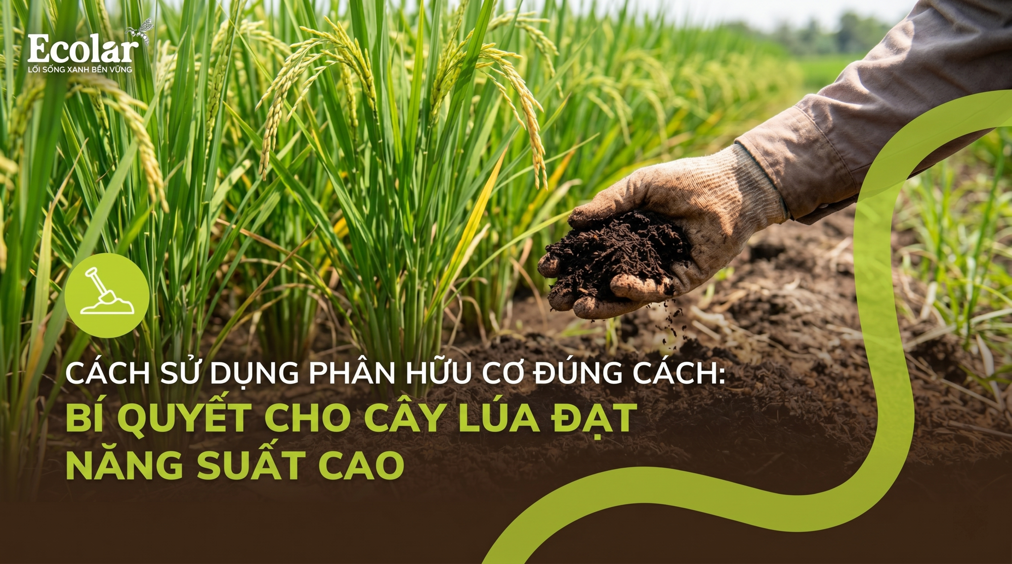 Cách sử dụng phân hữu cơ cho cây công nghiệp: Hướng dẫn vận hành, lựa chọn và kiểm soát ở quy mô nông nghiệp công nghiệp