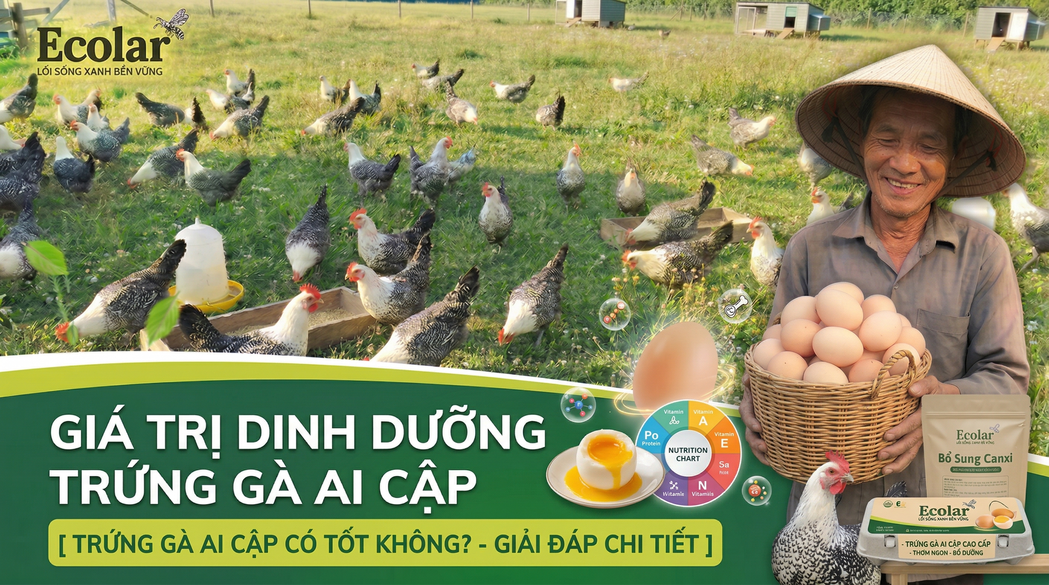 ng-ga-ai-cap-co-tot-khong-danh-gia-dinh-duong-an-toan-va-cach-chon-mua_ab88497d3b8643278edd47aeacc0fd86.png