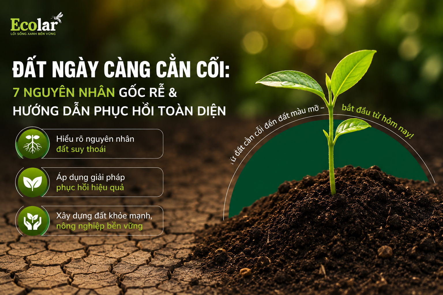 Đất Ngày Càng Cằn Cỗi: 7 Nguyên Nhân Gốc Rễ & Hướng Dẫn Phục Hồi Toàn Diện
