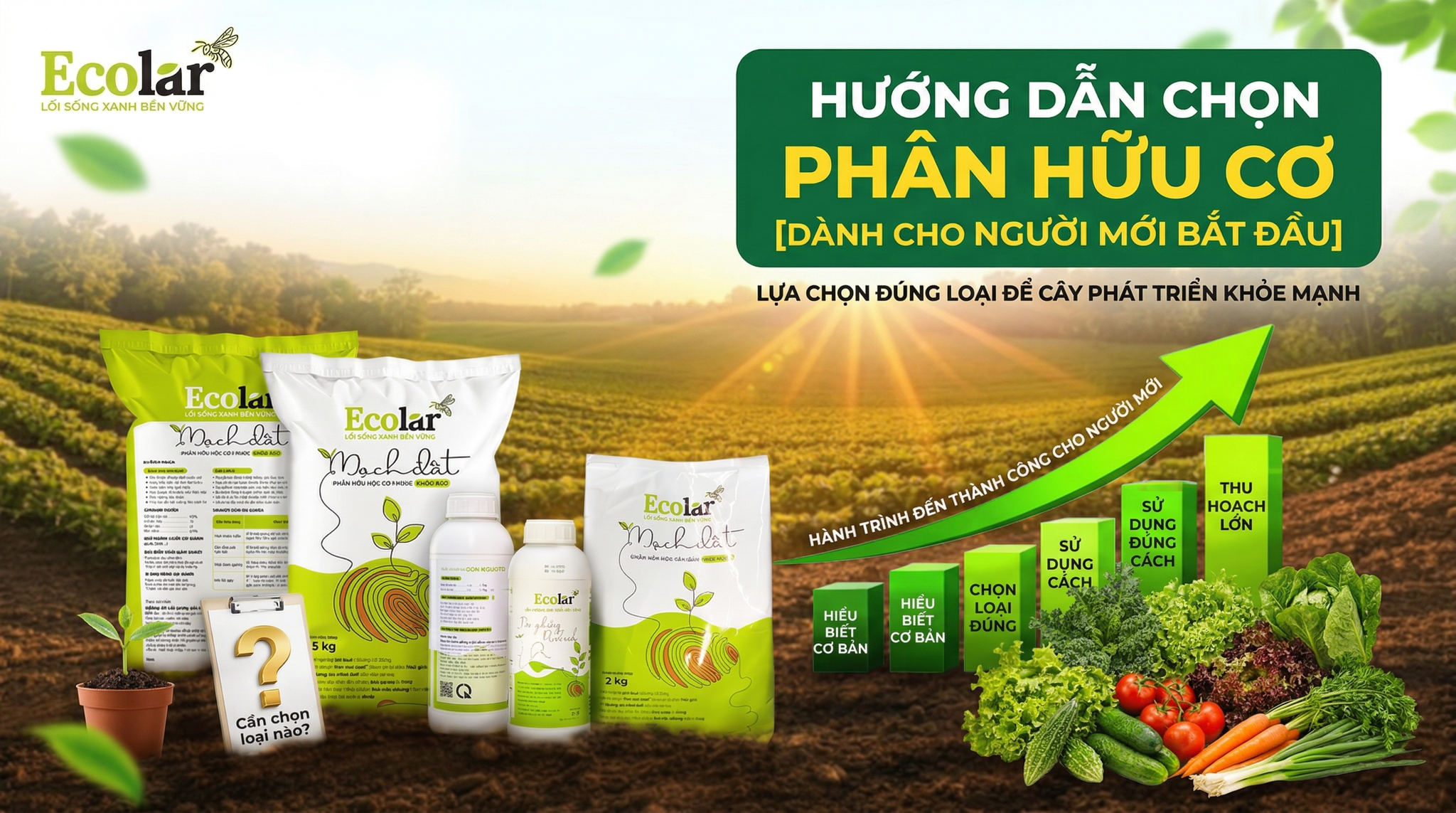 Người Mới Nên Dùng Loại Phân Hữu Cơ Nào? Hướng Dẫn Chọn Nhanh Và Dễ Bón