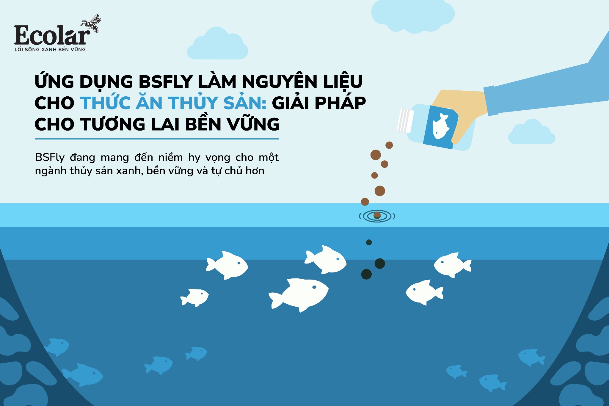 Ứng Dụng BSFly Làm Nguyên Liệu Cho Thức Ăn Thủy Sản: Giải Pháp Xanh Cho Tương Lai Bền Vững