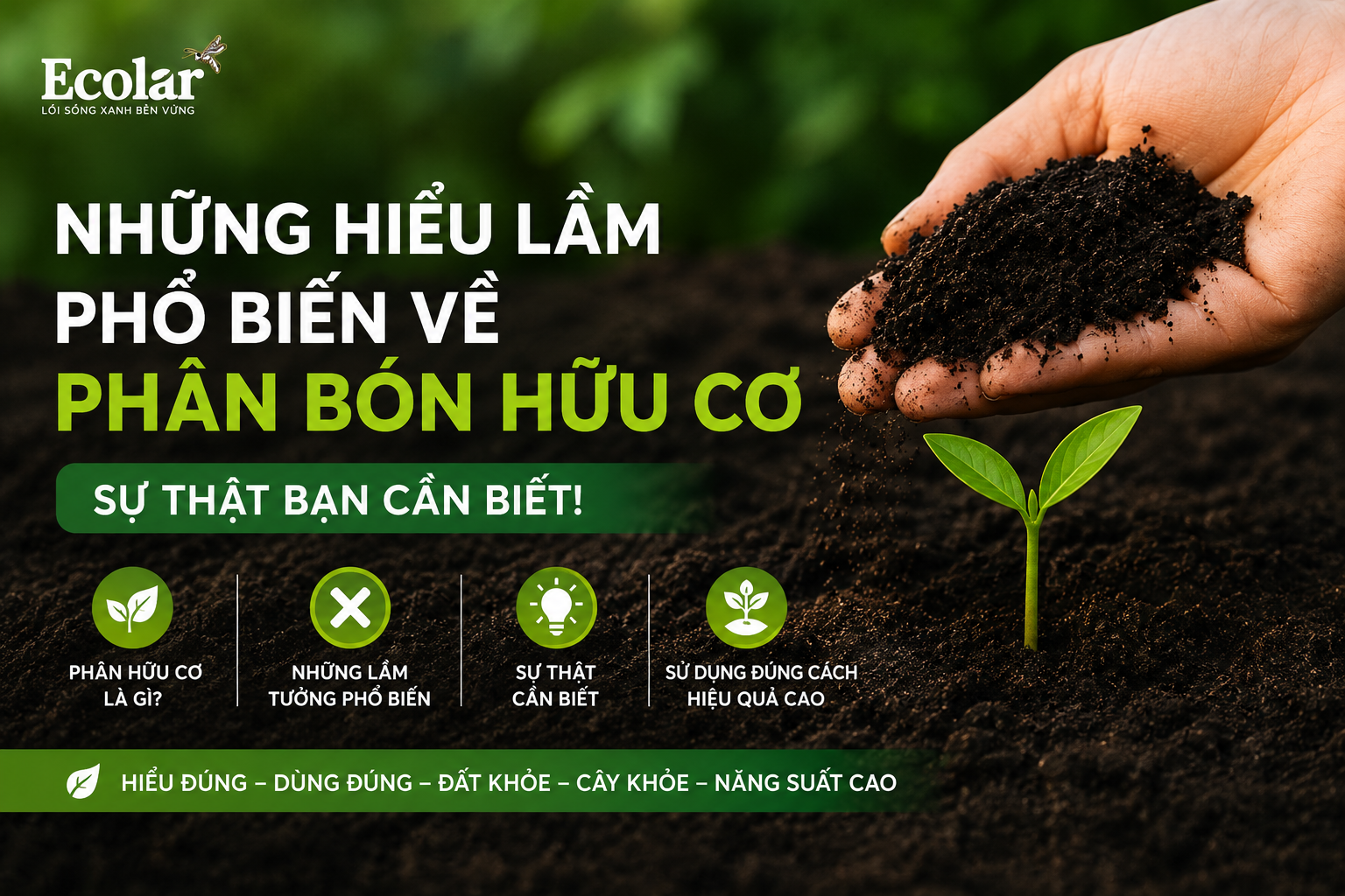 Những Hiểu Lầm Phổ Biến Về Phân Bón Hữu Cơ