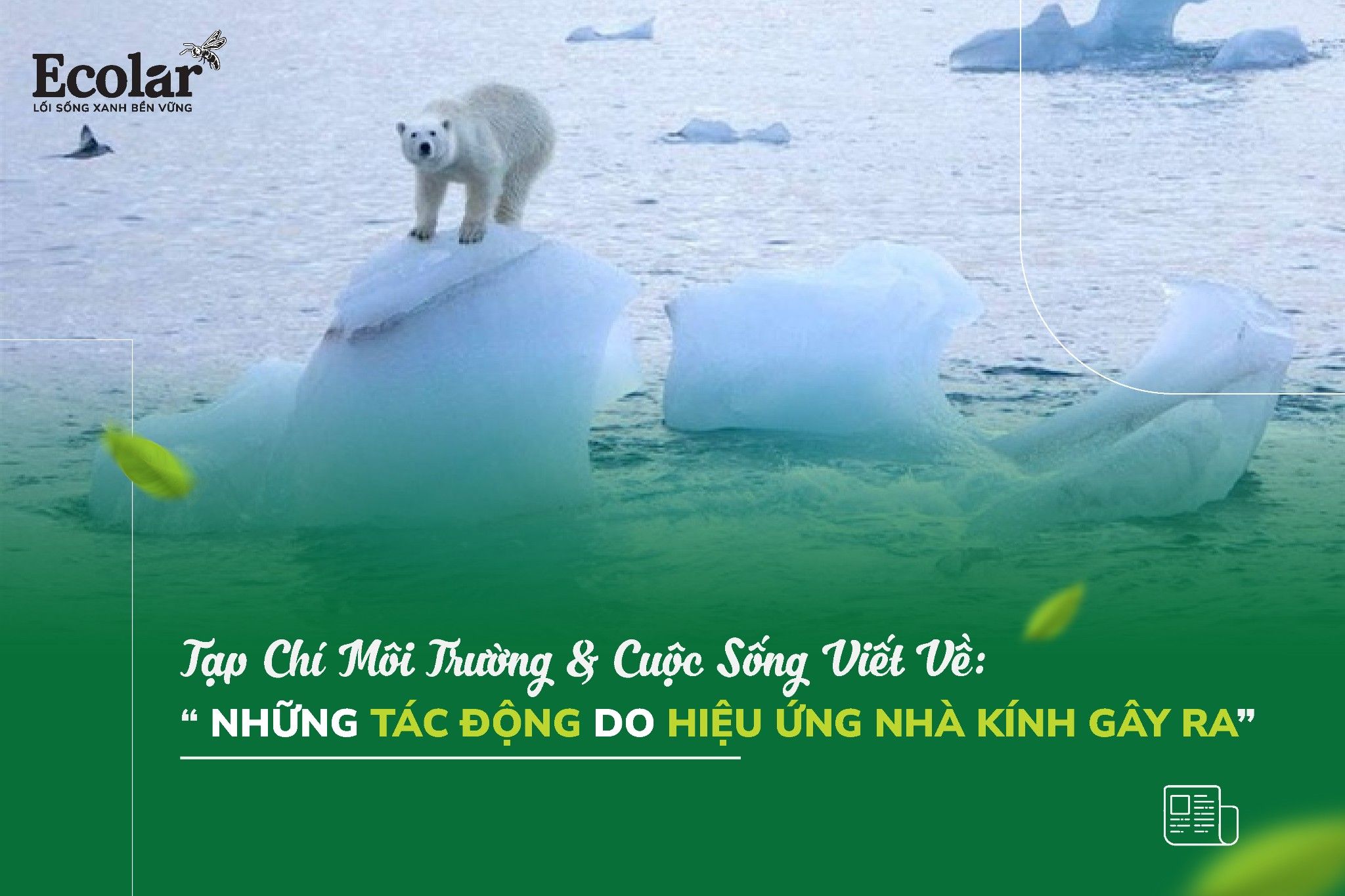 Những Tác Động Do Hiệu Ứng Nhà Kính Gây Ra