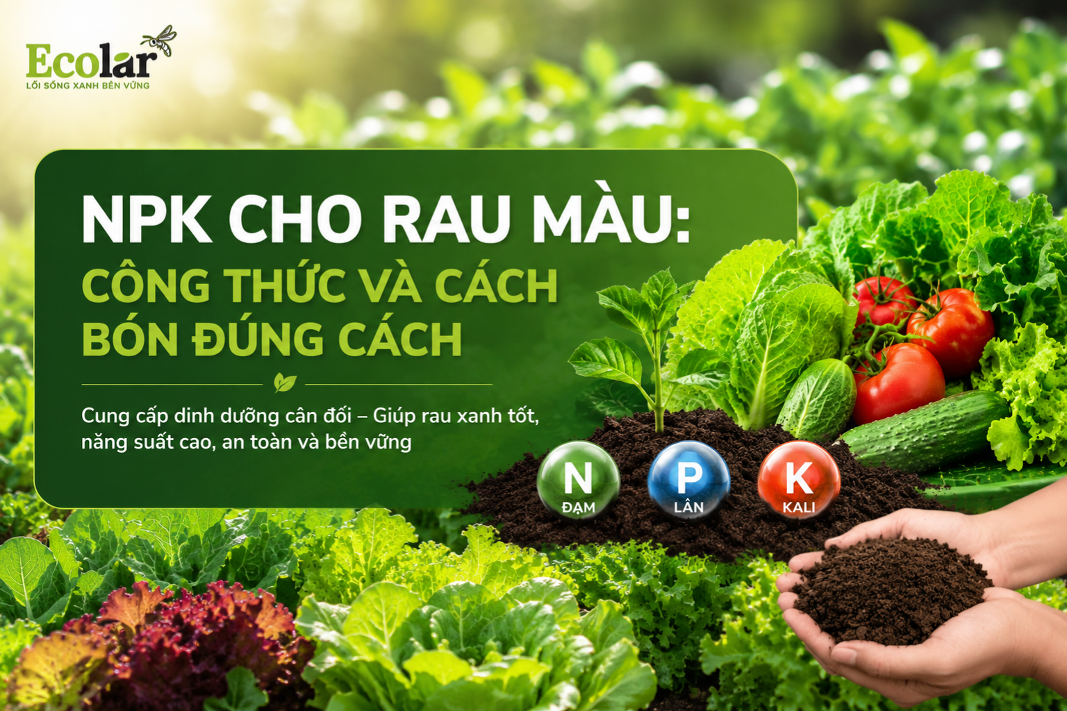 NPK Cho Rau Màu: Công Thức Và Cách Bón Đúng Cách
