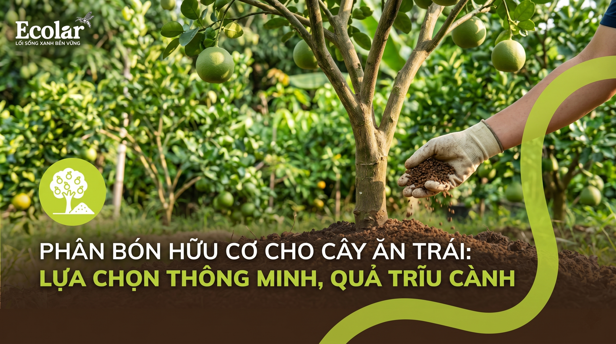 Các loại phân bón hữu cơ cho cây ăn trái — Hướng dẫn chọn theo nhu cầu cây và giai đoạn sinh trưởng
