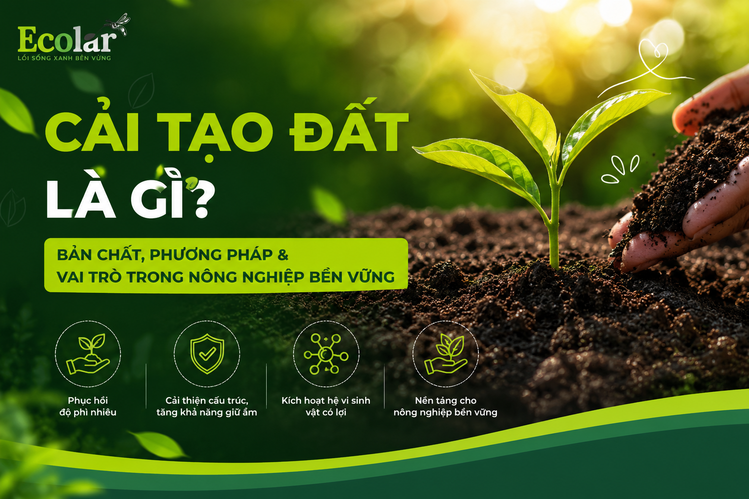 Cải Tạo Đất Là Gì? Bản Chất, Phương Pháp & Vai Trò Trong Nông Nghiệp Bền Vững