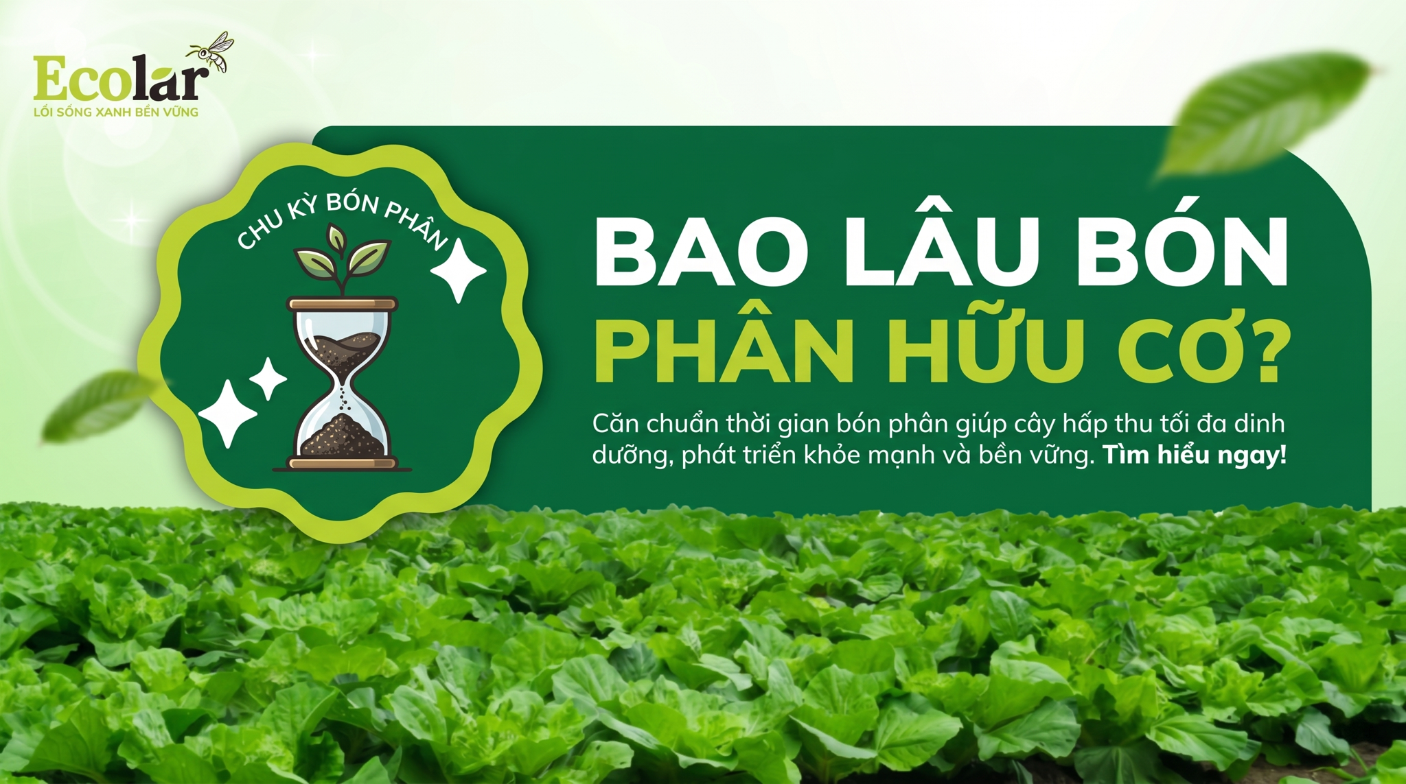 Bao lâu nên bón phân hữu cơ một lần: Hướng dẫn xác định tần suất hiệu quả