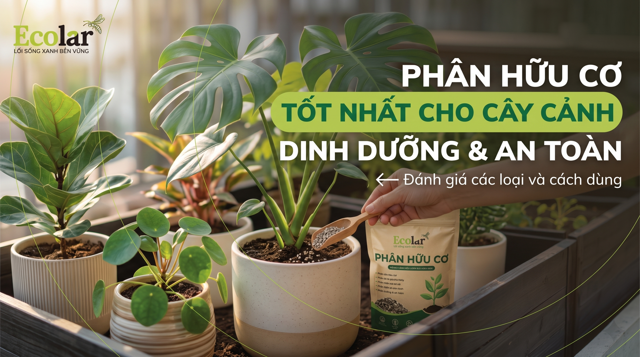Loại Phân Hữu Cơ Nào Tốt Nhất Cho Cây Cảnh? Cách Chọn Đúng Cho Người Mới