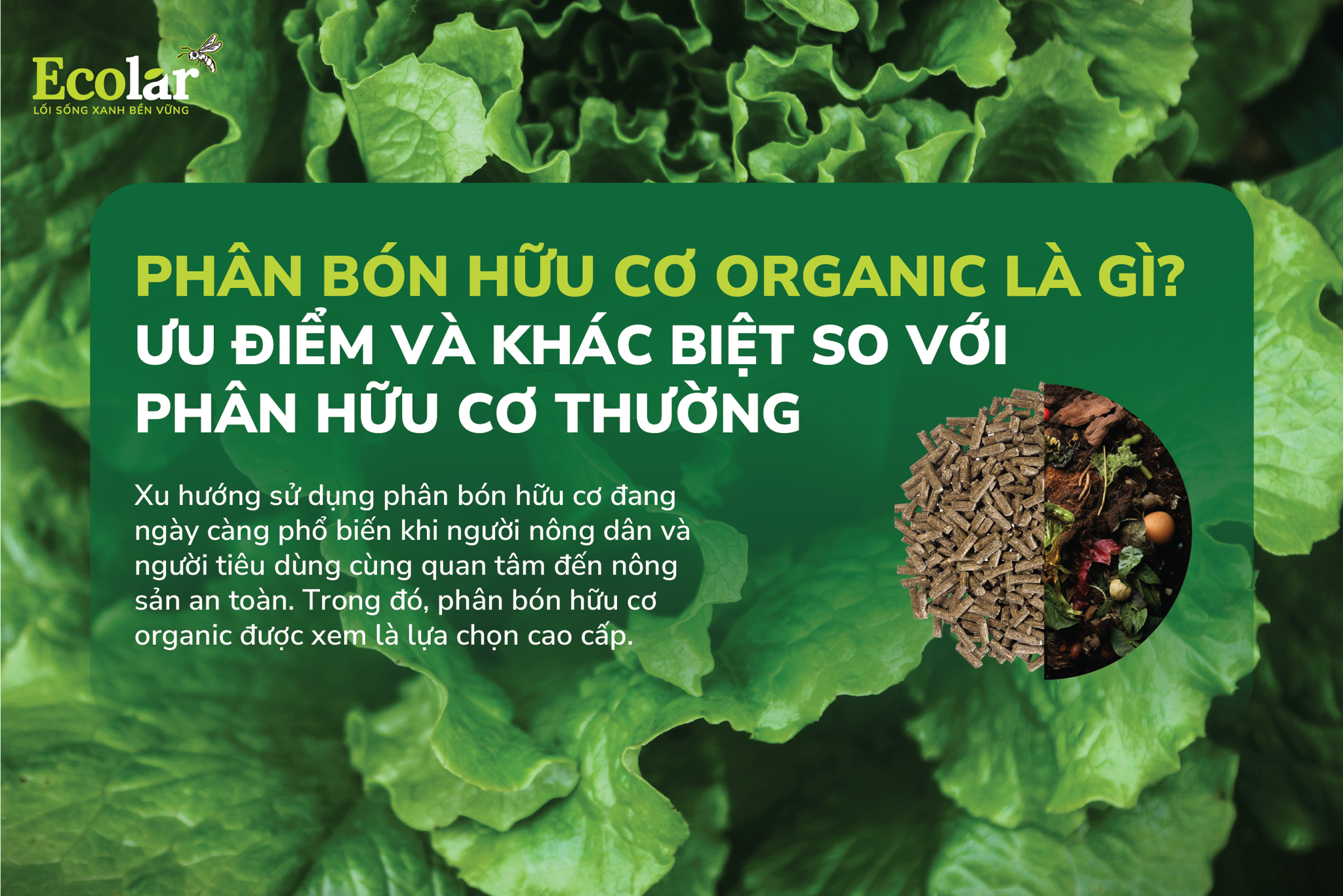 Phân Bón Hữu Cơ Organic Là Gì? Ưu Điểm Và Khác Biệt So Với Phân Hữu Cơ Thường