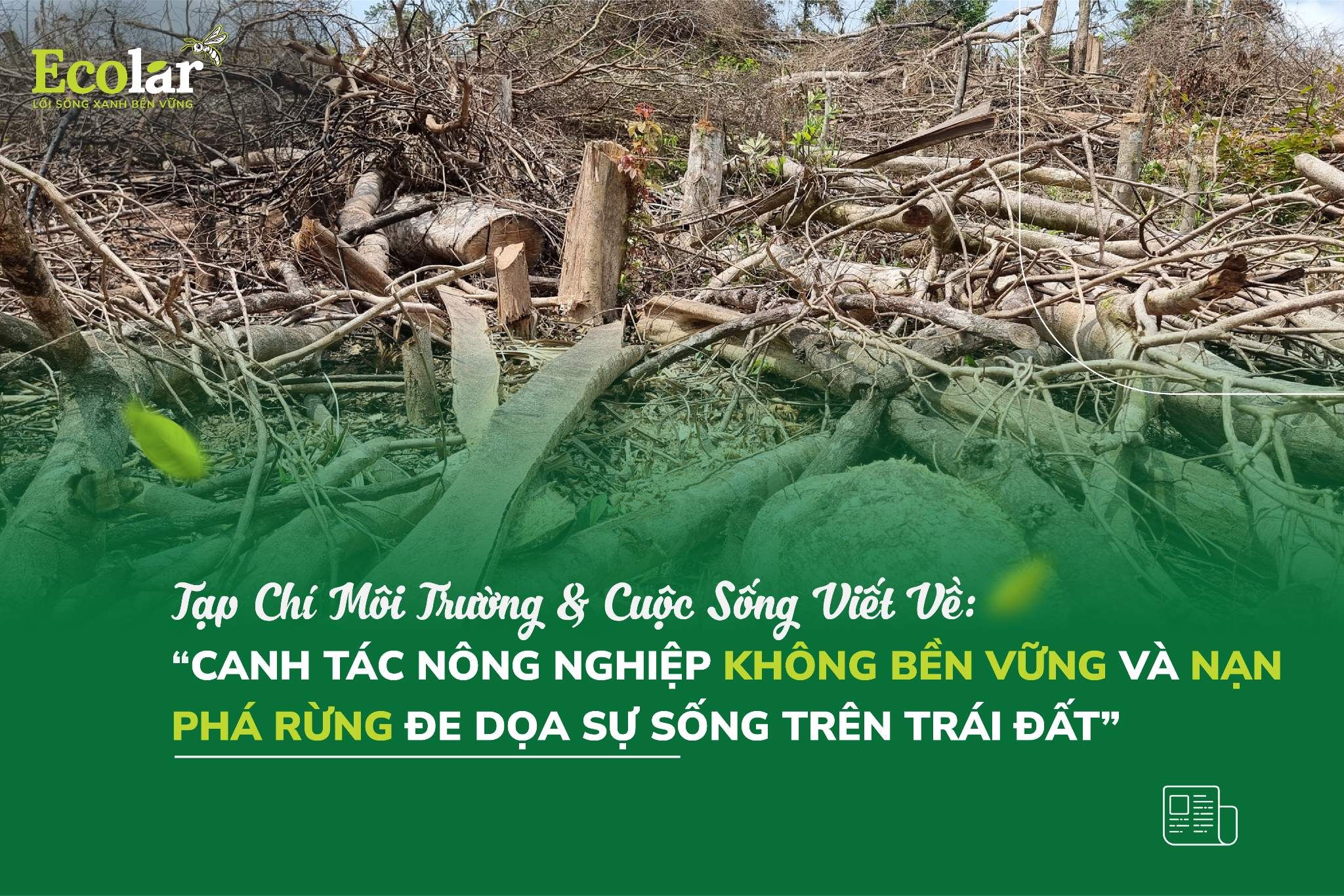 Canh tác nông nghiệp không bền vững và nạn phá rừng đe dọa sự sống trên Trái đất