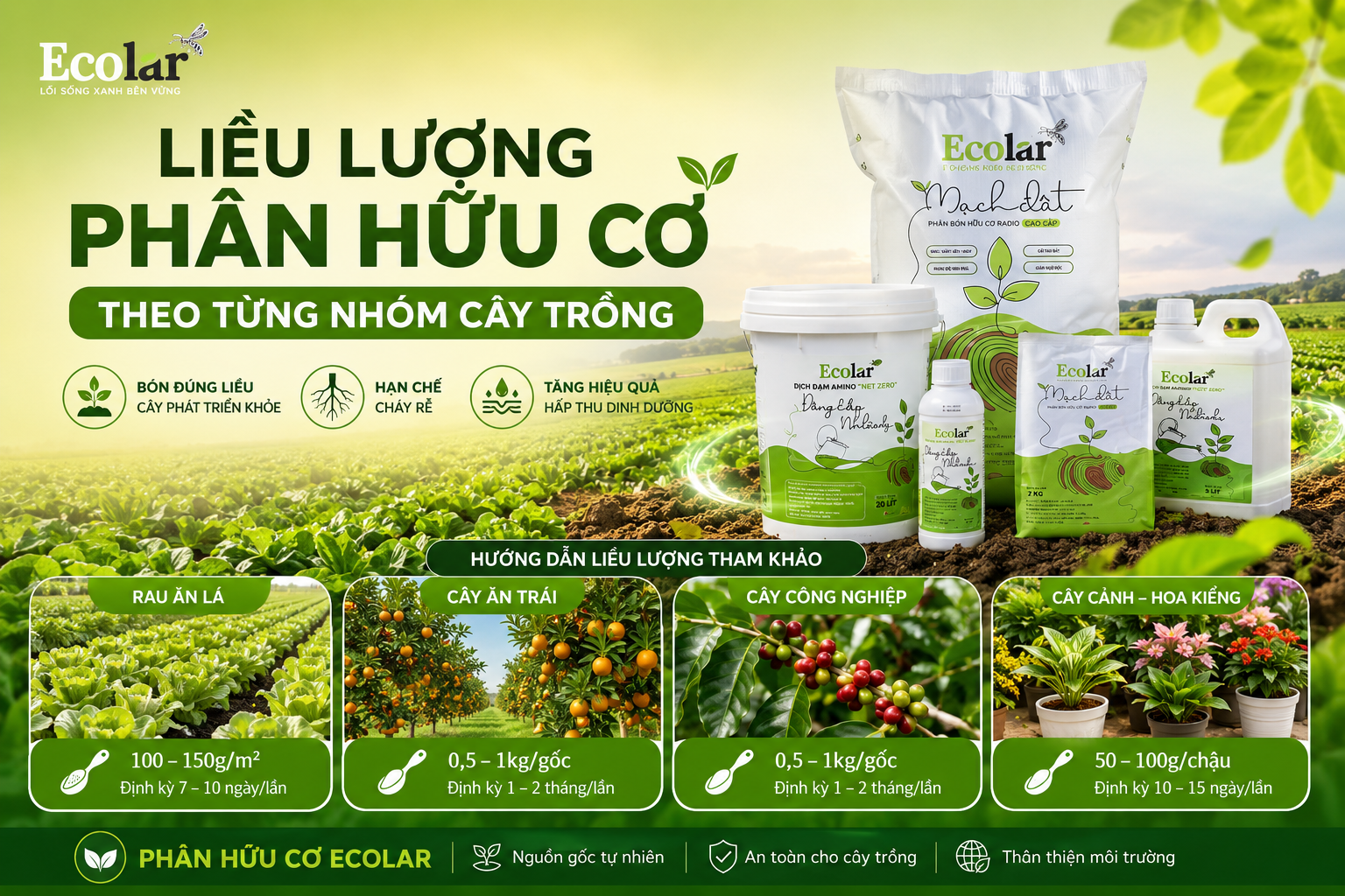 Liều Lượng Phân Bón Hữu Cơ Theo Từng Nhóm Cây: Cách Bón Đúng Tránh Thừa Thiếu