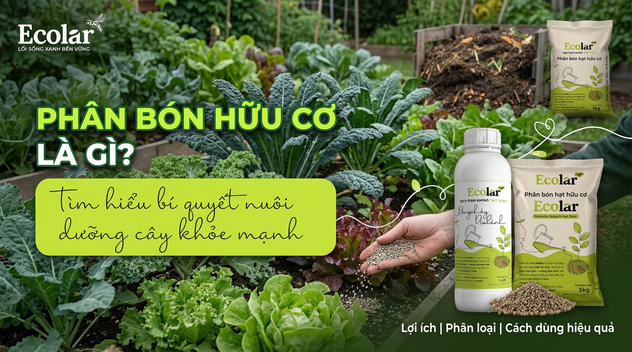 Phân Bò Hữu Cơ Là Gì? Công Dụng, Cách Bón Và Cách Chọn Mua